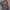 KEYNOO Oversized Pullover Hoodie – Slate Grey