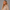 Oversized Pullover Hoodie – Stone