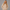Oversized Pullover Hoodie – Stone