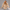 Oversized Pullover Hoodie – Stone