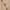 Oversized Pullover Hoodie – Stone