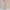 Sweatpant Elastic Bottom- Stone