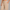 Sweatpant Elastic Bottom- Stone