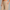 Sweatpant Open Bottom - Stone
