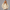 KEYNOO Oversized Pullover Hoodie – Stone