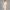 KEYNOO Oversized Pullover Hoodie – Stone