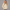 KEYNOO Oversized Pullover Hoodie – Stone
